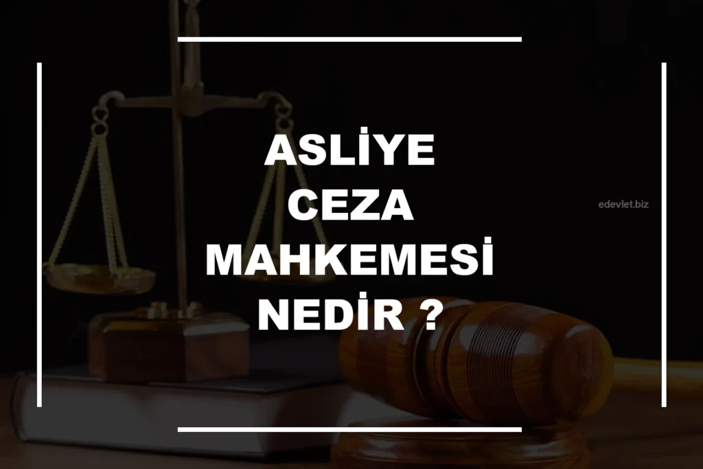Asliye Ceza Mahkemesi Nedir?